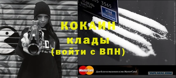хмурый Магас