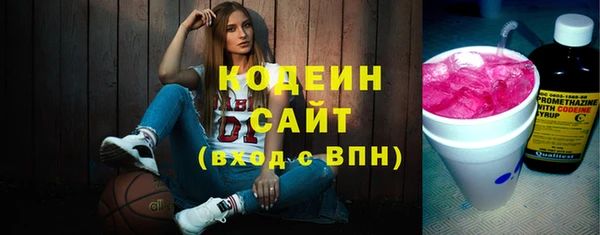 хмурый Магас