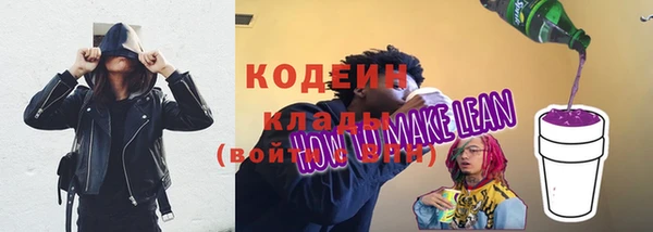 хмурый Магас