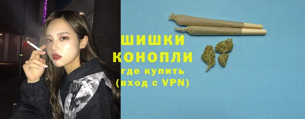хмурый Магас
