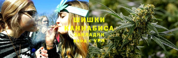 хмурый Магас