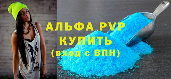 хмурый Магас