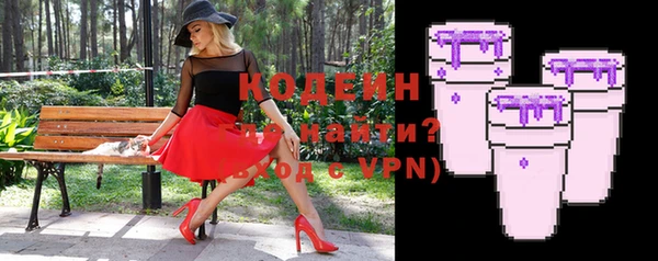 хмурый Магас