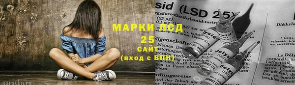 хмурый Магас