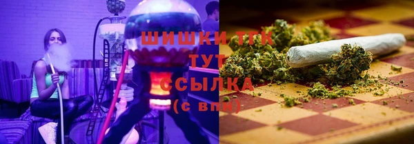 хмурый Магас