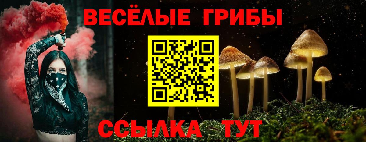Псилоцибиновые грибы прущие грибы Карасук